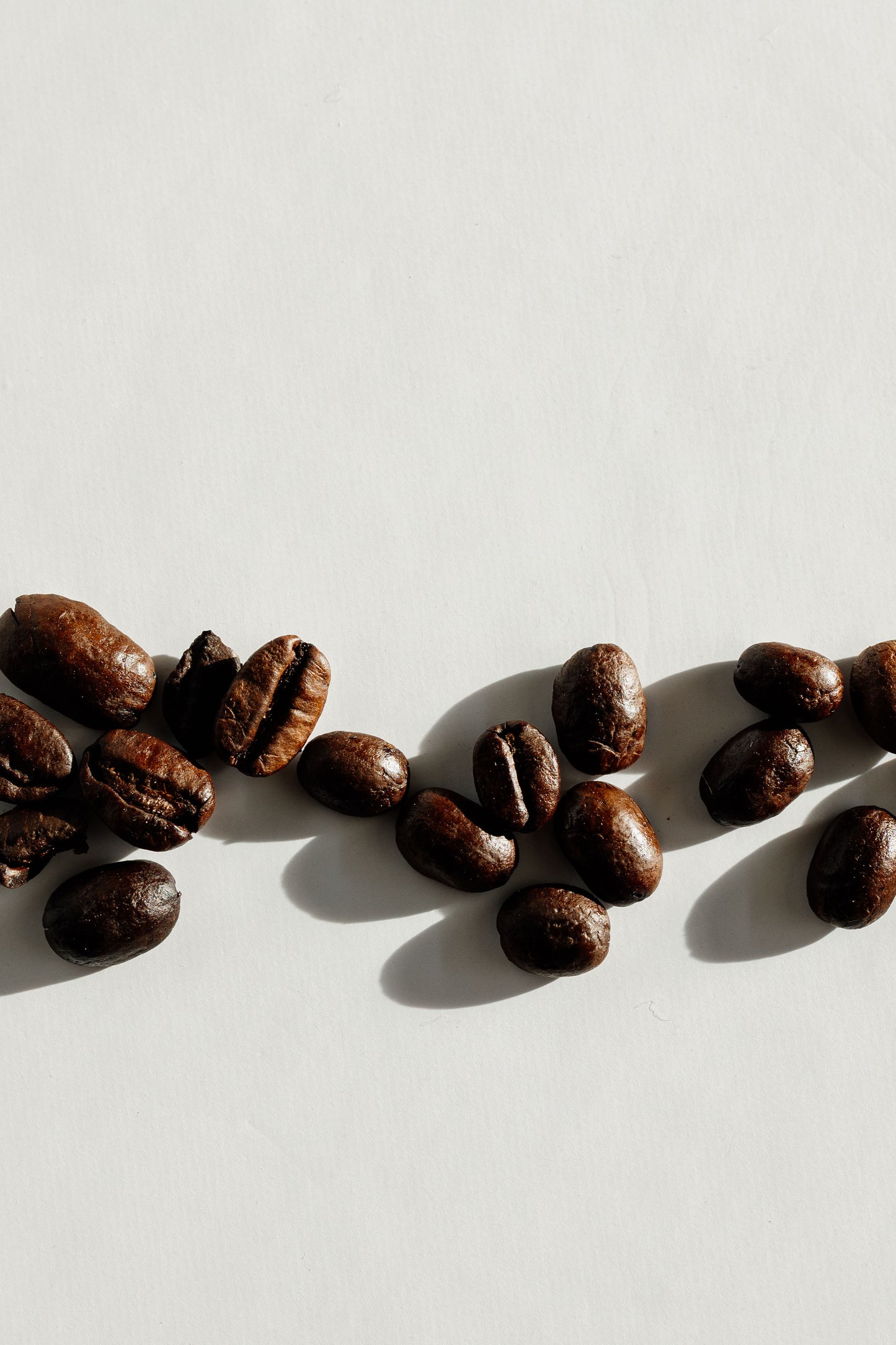 Infused Whipped Tallow Body Balm